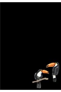 Toucan Journal