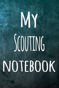 My Scouting Notebook