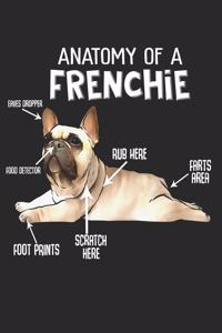 Anatomy of a Frenchie