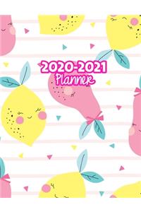 2020-2021 Planner