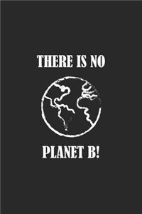 There is no Planet B