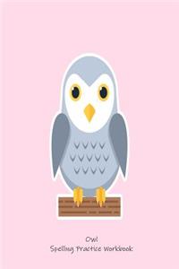Owl Spelling Practice Workbook