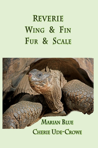 Reverie Wing & Fin Fur & Scale