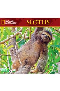 Cal 2019 National Geographic Sloths