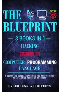 Raspberry Pi & Hacking & Computer Programming Languages