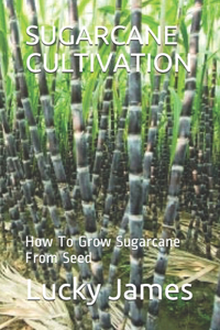 Sugarcane Cultivation