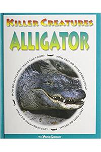 Alligator