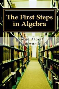 The First Steps in Algebra