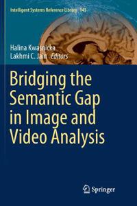 Bridging the Semantic Gap in Image and Video Analysis