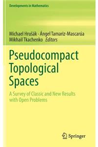 Pseudocompact Topological Spaces