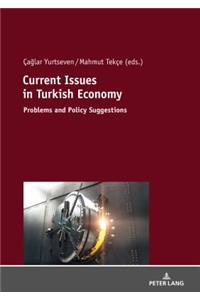 Current Issues in Turkish Economics