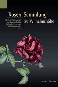 Rosen-Sammlung Zu Wilhelmshohe