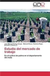 Estudio del Mercado de Trabajo