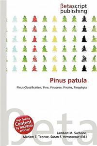 Pinus Patula