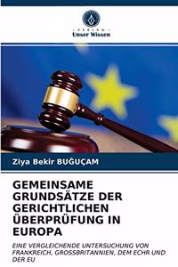 Gemeinsame Grundsätze Der Gerichtlichen Überprüfung in Europa