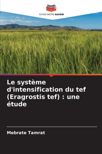 système d'intensification du tef (Eragrostis tef)