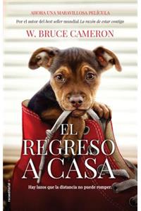 Razon de Estar Contigo, La. El Regreso a Casa (Movie Tie-In)