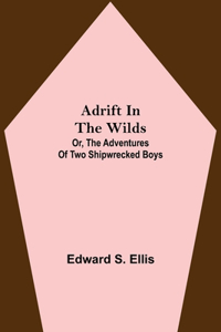 Adrift in the Wilds; Or, The Adventures of Two Shipwrecked Boys