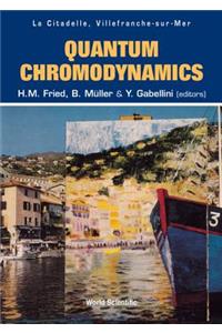 Quantum Chromodynamics - Proceedings of the Fifth Workshop