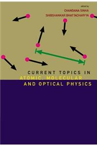 Current Topics in Atomic, Molecular and Optical Physics: Invited Lectures of Tc-2005