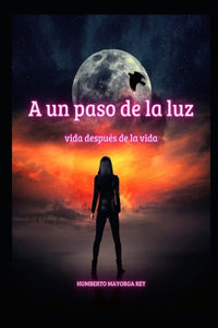 A un paso de la luz: Vida después de la vida