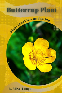 Buttercup Plant