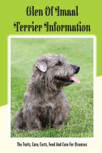 Glen of Imaal Terrier Information