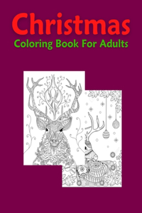 Christmas Coloring Book For Adults
