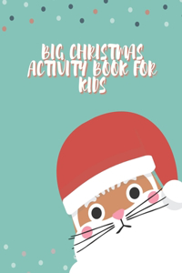 Big Christmas Activity Book for Kids