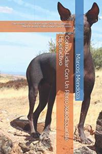 Cómo Lidiar Con Un Perro Xoloitzcuintle Hiperactivo