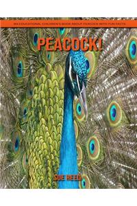 Peacock! An Educational Children's Book about Peacock with Fun Facts