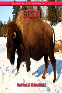 Bison