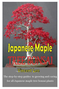 Japanese Maple Tree Bonsai