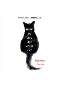 How to Live Like Your Cat