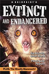 Steck-Vaughn Boldprint Anthologies