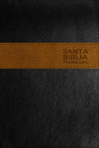 Santa Biblia Promesas-Ntv