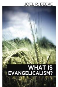 What Is Evangelicalism?