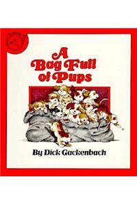 Houghton Mifflin Mathmatics: Bag Full Pups Pa