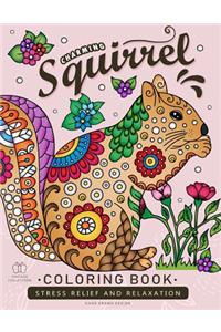 Squirrel Coloring book