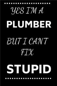 Yes I'm A Plumber But I Can't Fix Stupid