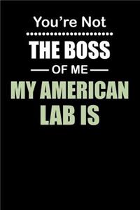 You're not the Boss of Me My American Lab Is
