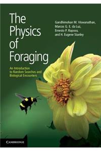 Physics of Foraging