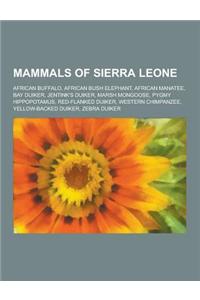 Mammals of Sierra Leone: African Buffalo, African Bush Elephant, African Manatee, Bay Duiker, Jentink's Duiker, Marsh Mongoose, Pygmy Hippopota