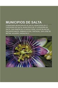 Municipios de Salta