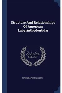 Structure And Relationships Of American Labyrinthodontidæ