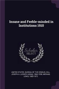 Insane and Feeble-minded in Institutions 1910