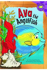 Ava the Angelfish