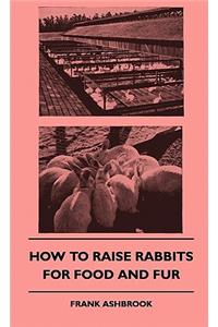 How to Raise Rabbits for Food and Fur