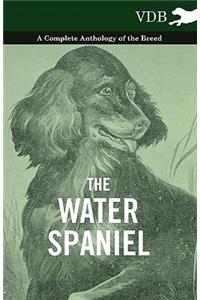 The Water Spaniel - A Complete Anthology of the Breed