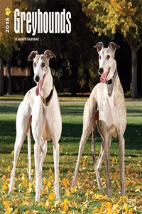 2018 Greyhounds Wall Calendar